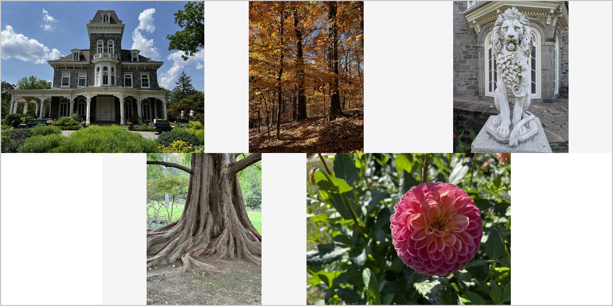 Wedding Photography at The Cylburn Arboretum: A Photographer’s Point of View