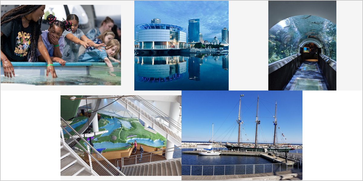 Wedding Photography at The Discovery World: A Photographer’s Point of View