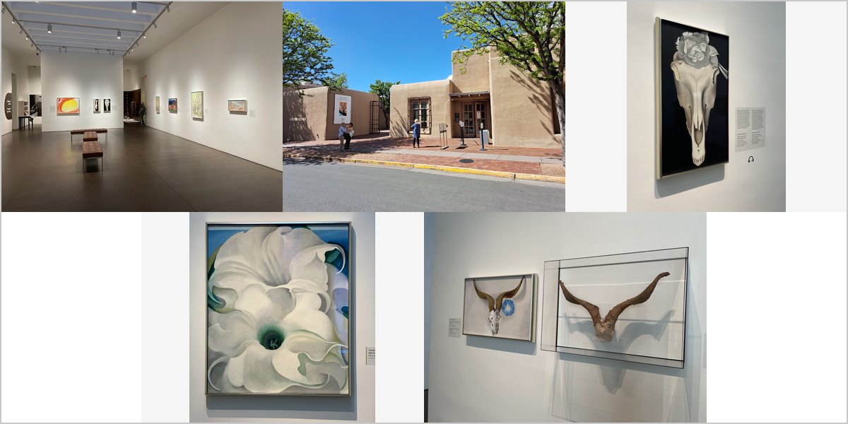 Wedding Photography at The Georgia O’Keeffe Museum: A Photographer’s Point of View