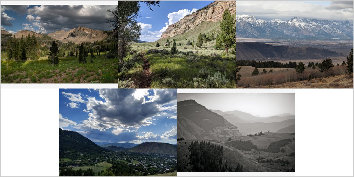 Wedding Photography at The Gros Ventre River Ranch: A Photographer’s Point of View