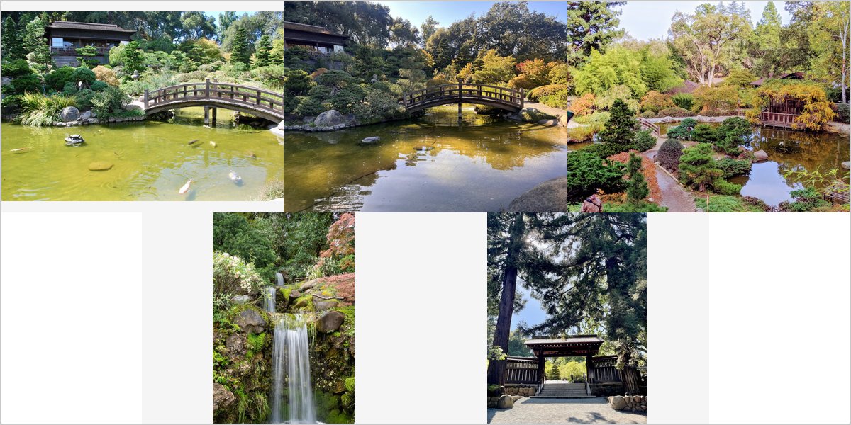 Wedding Photography at The Hakone Gardens: A Photographer’s Point of View