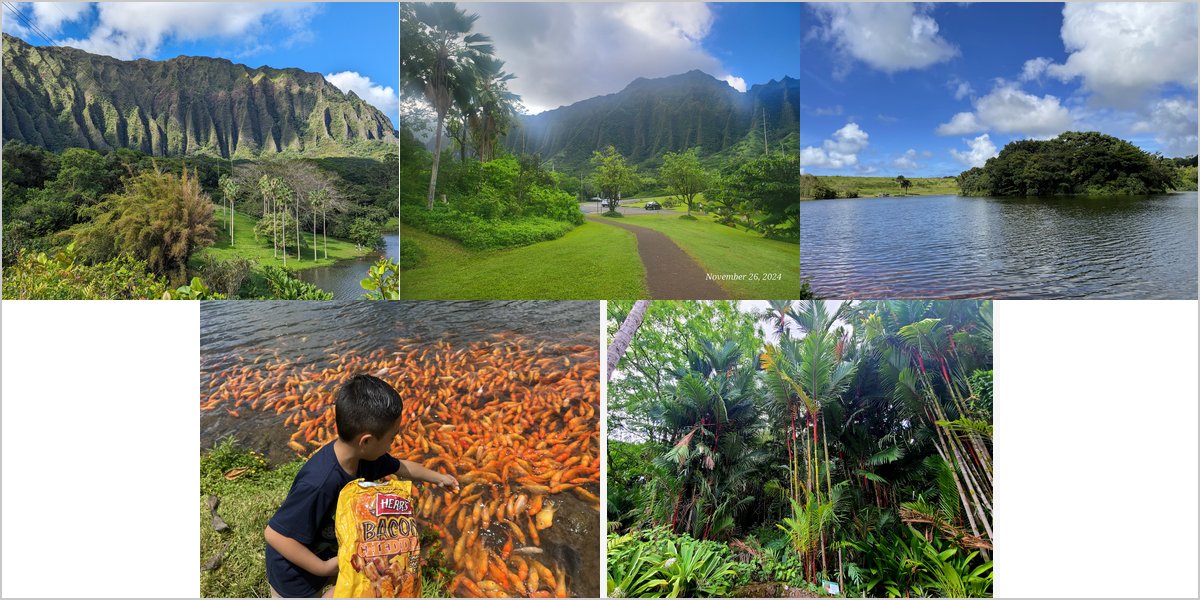 Wedding Photography at The Ho’omaluhia Botanical Garden: A Photographer’s Point of View