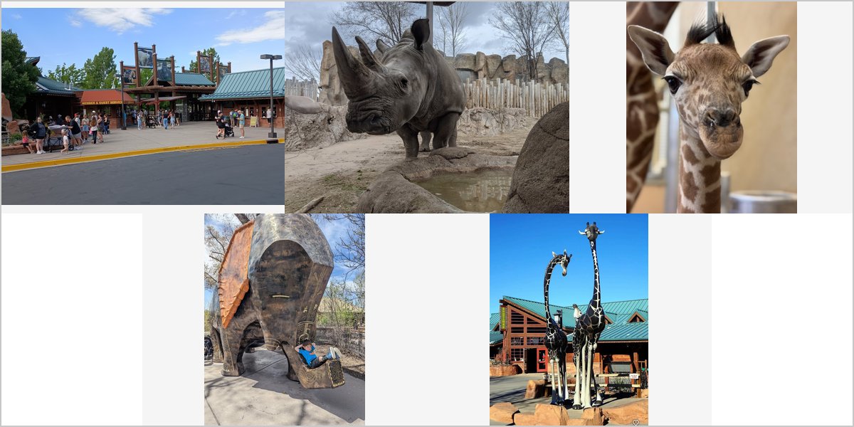 Wedding Photography at The Hogle Zoo: A Photographer’s Point of View