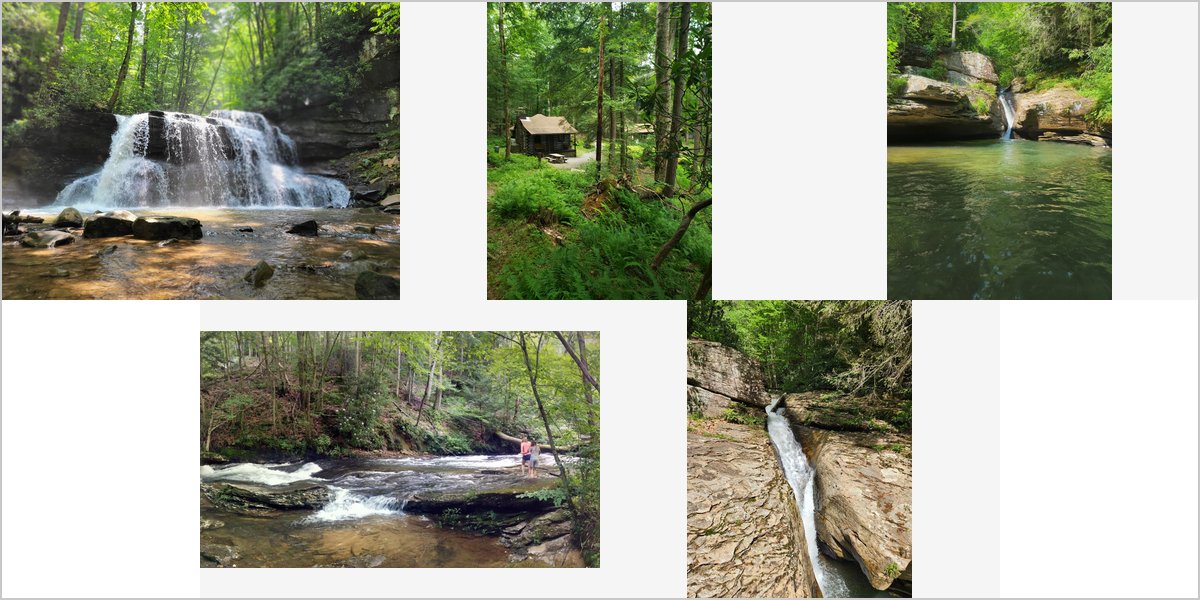 Wedding Photography at The Holly River State Park: A Photographer’s Point of View