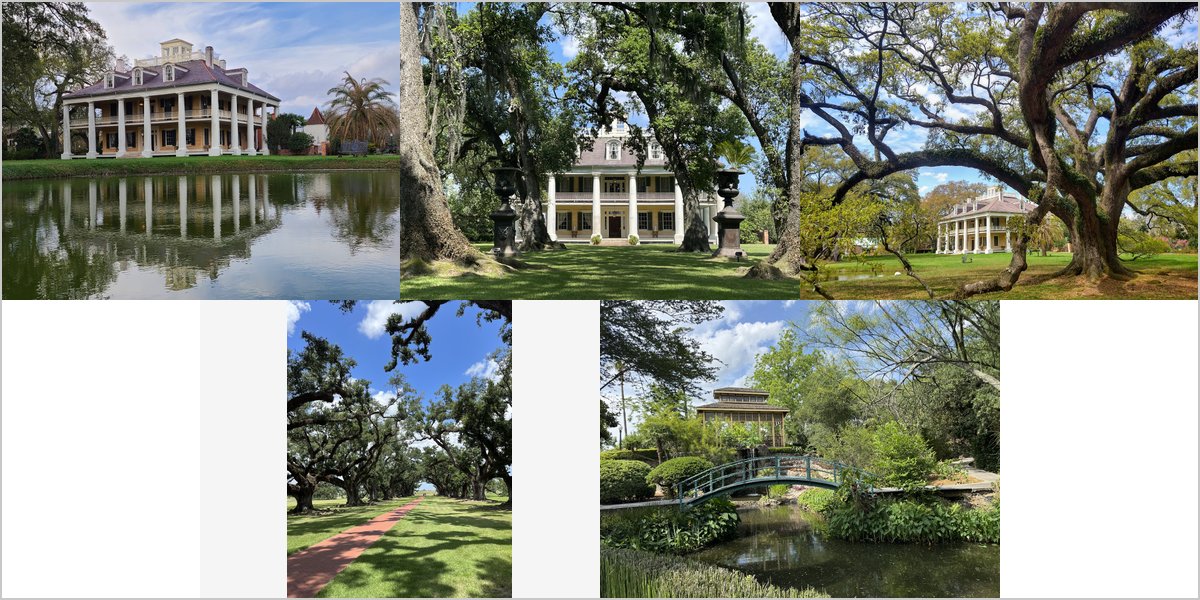 Wedding Photography at The Houmas House: A Photographer’s Point of View