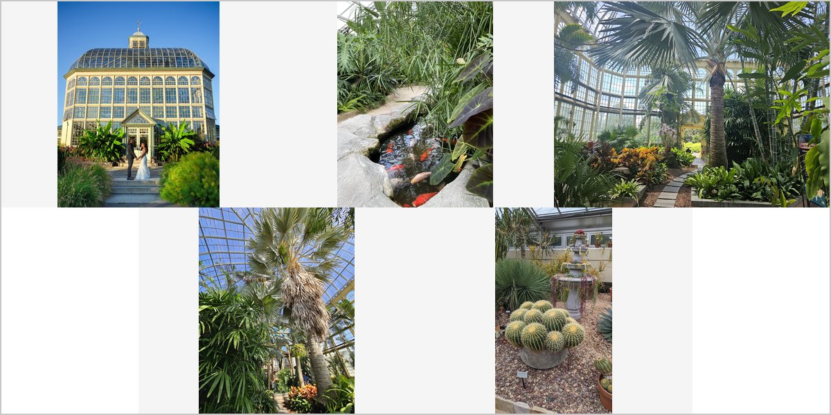 Wedding Photography at The Howard Peters Rawlings Conservatory: A Photographer’s Point of View