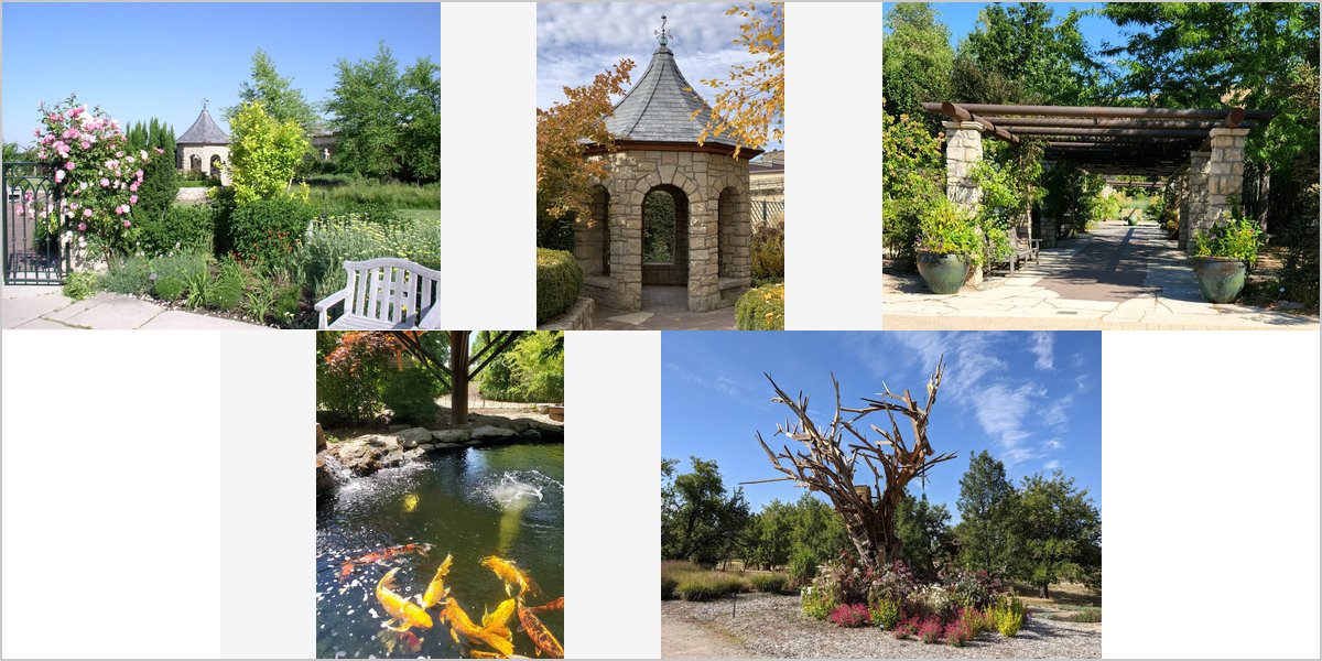 Wedding Photography at The Idaho Botanical Garden: A Photographer’s Point of View