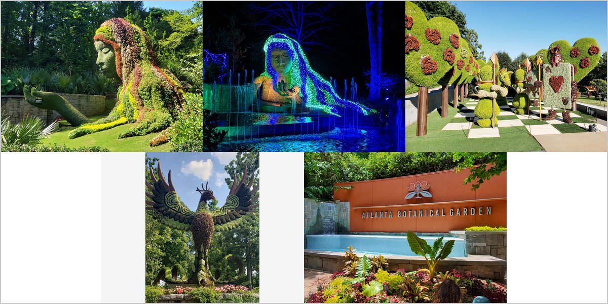 Wedding Photography at The Atlanta Botanical Garden: A Photographer’s Point of View