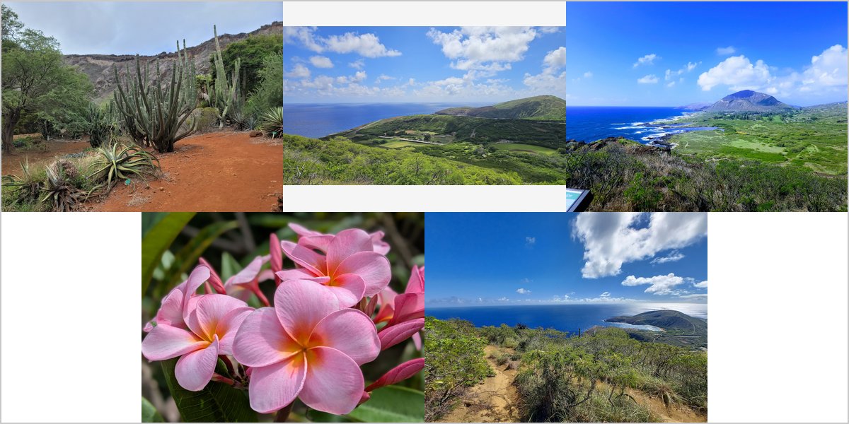 Wedding Photography at The Koko Crater Botanical Garden: A Photographer’s Point of View