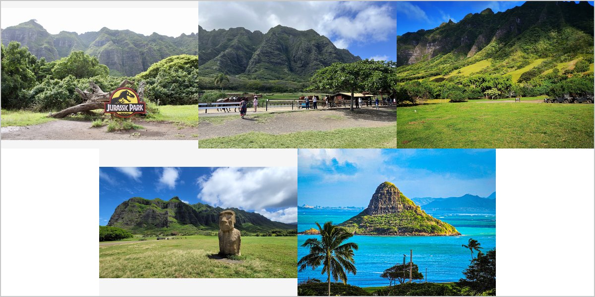 Wedding Photography at The Kualoa Ranch: A Photographer’s Point of View
