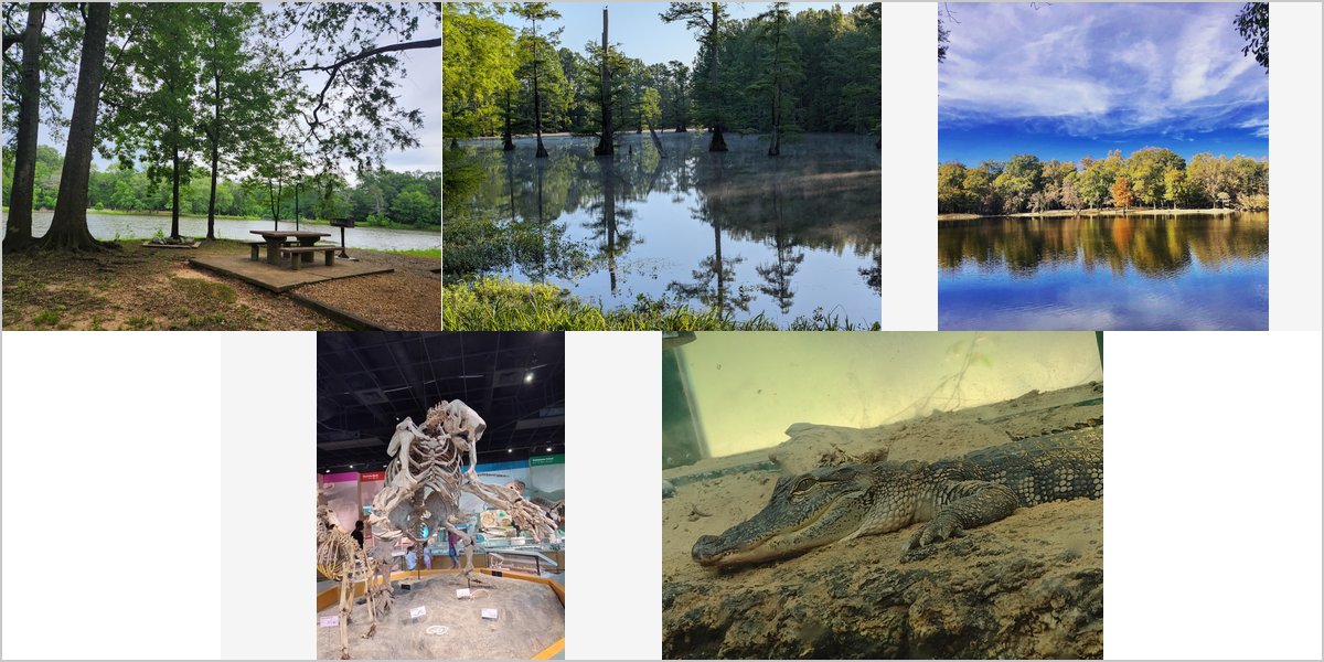 Wedding Photography at The LeFleur’s Bluff State Park: A Photographer’s Point of View