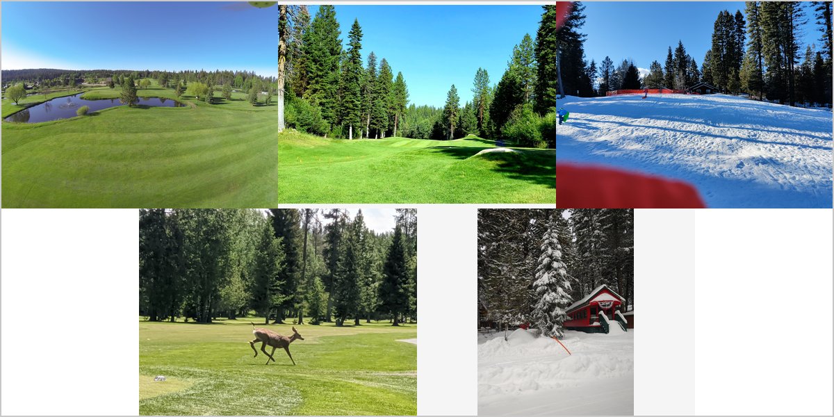 Wedding Photography at The McCall Golf Course: A Photographer’s Point of View