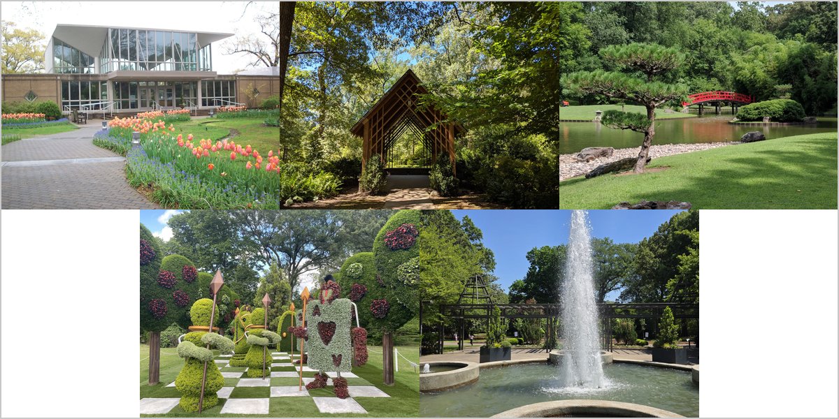 Wedding Photography at The Memphis Botanic Garden: A Photographer’s Point of View