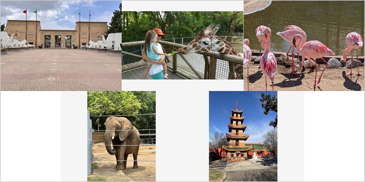 Wedding Photography at The Memphis Zoo: A Photographer’s Point of View