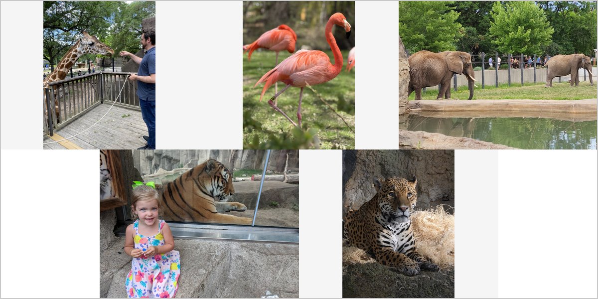 Wedding Photography at The Milwaukee Zoo: A Photographer’s Point of View