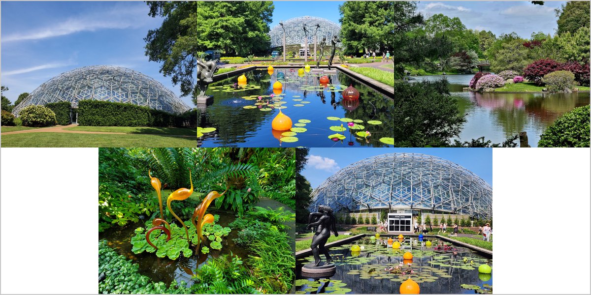 Wedding Photography at The Missouri Botanical Garden: A Photographer’s Point of View