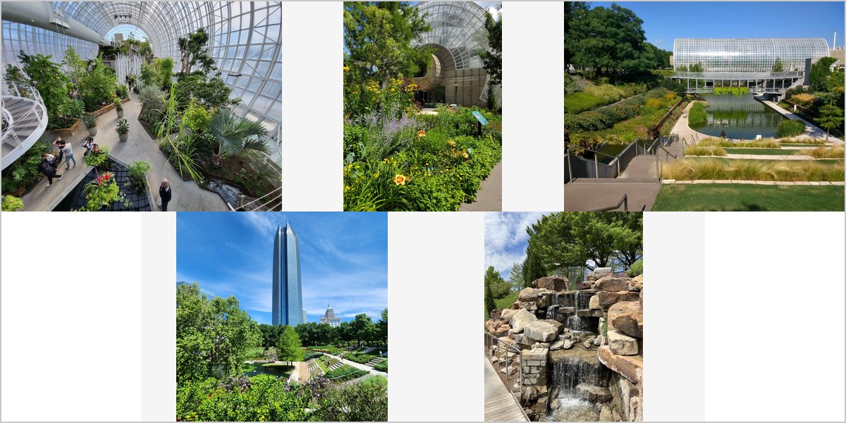 Wedding Photography at The Myriad Botanical Gardens: A Photographer’s Point of View