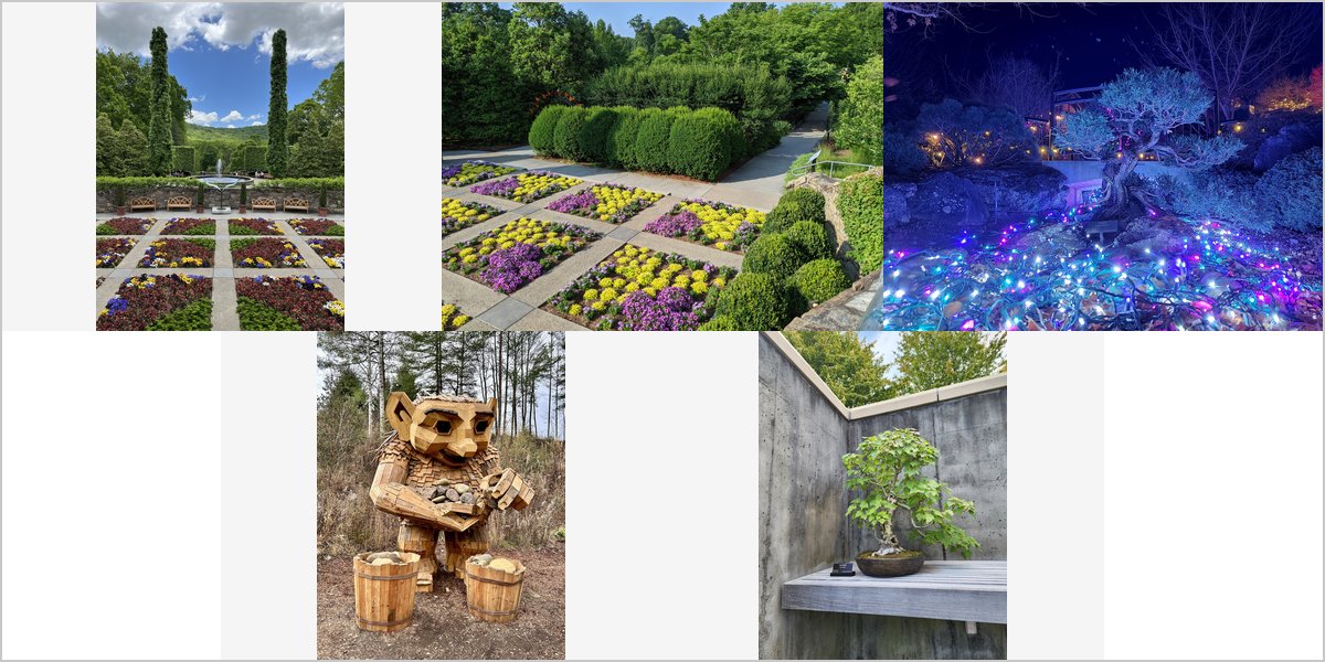 Wedding Photography at The North Carolina Arboretum: A Photographer’s Point of View