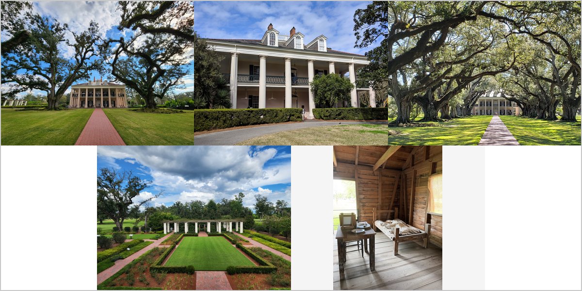 Wedding Photography at The Oak Alley Plantation: A Photographer’s Point of View