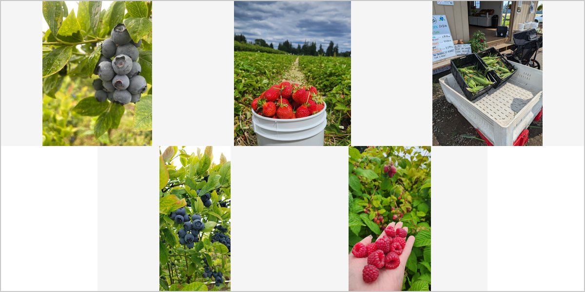 Wedding Photography at The Regier Farm: A Photographer’s Point of View