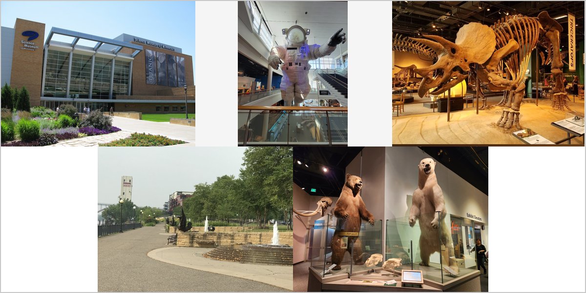 Wedding Photography at The Science Museum of Minnesota: A Photographer’s Point of View
