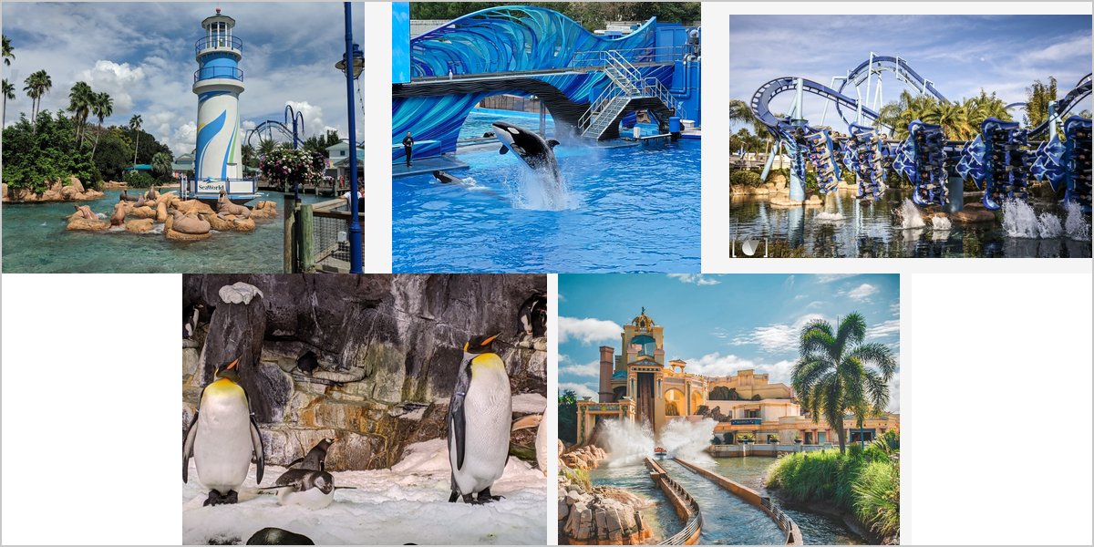 Wedding Photography at The SeaWorld Orlando: A Photographer’s Point of View