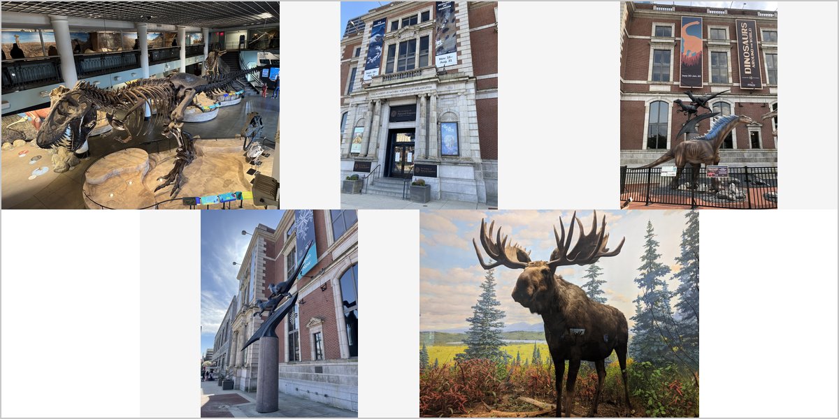 Wedding Photography at The Academy of Natural Sciences: A Photographer’s Point of View