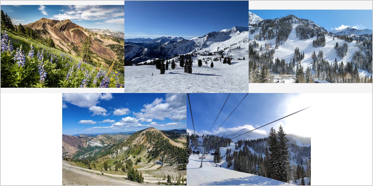 Wedding Photography at The Snowbird Resort: A Photographer’s Point of View