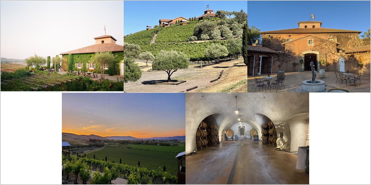 Wedding Photography at The Viansa Winery: A Photographer’s Point of View