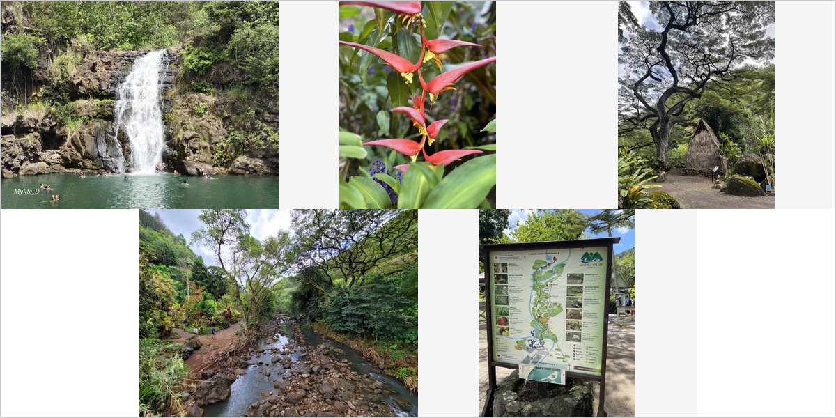 Wedding Photography at The Waimea Valley: A Photographer’s Point of View