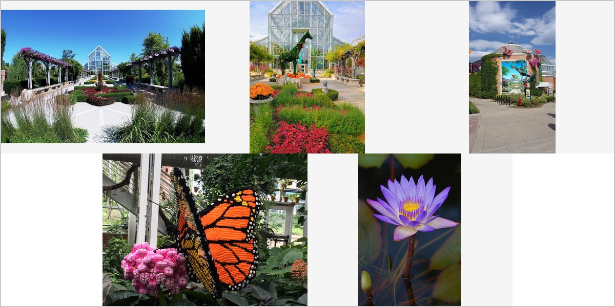 Wedding Photography at The White River Gardens: A Photographer’s Point of View