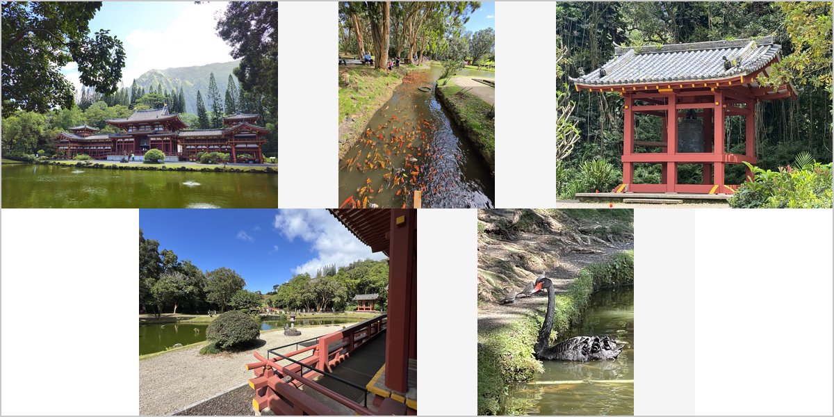 Wedding Photography at The Byodo-In Temple: A Photographer’s Point of View