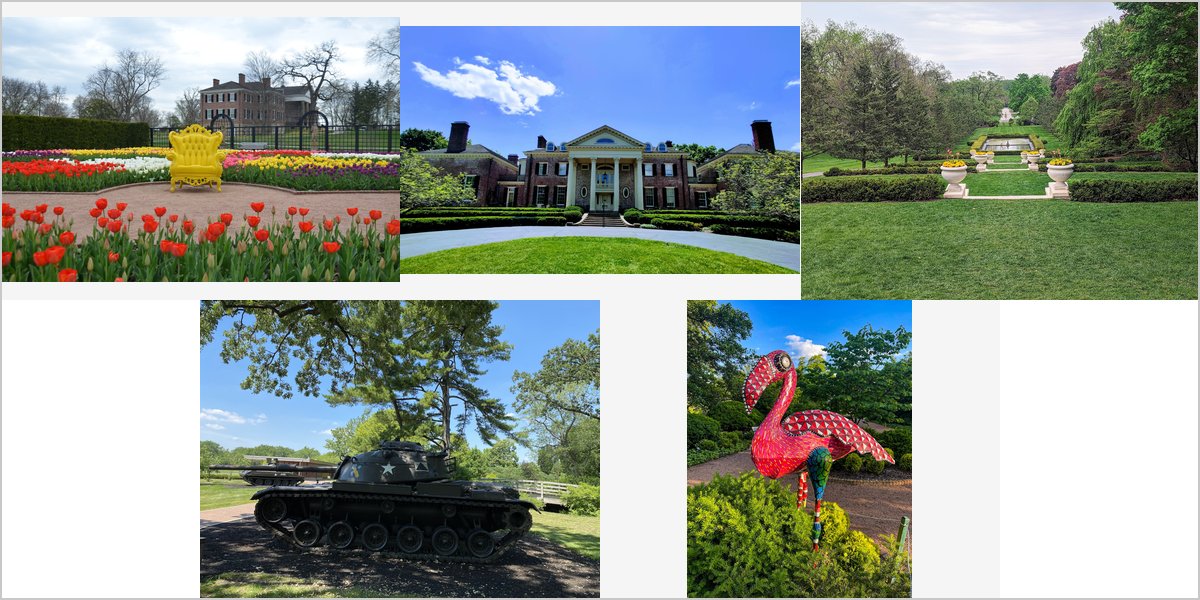 Wedding Photography at The Cantigny Park: A Photographer’s Point of View