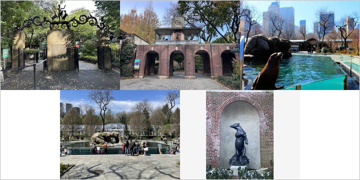 Wedding Photography at The Central Park Zoo: A Photographer’s Point of View