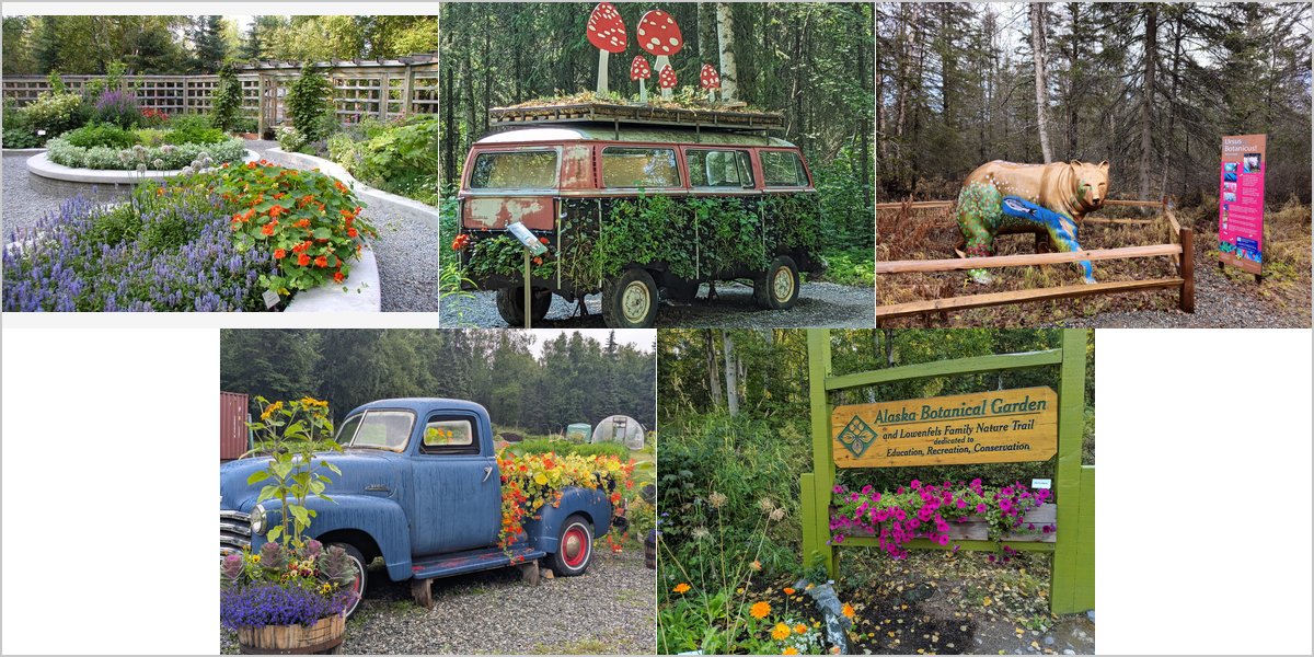 Wedding Photography at The Alaska Botanical Garden: A Photographer’s Point of View