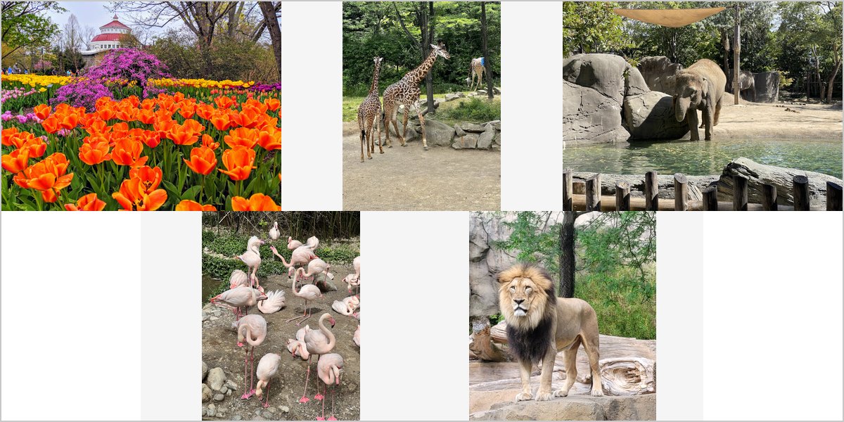 Wedding Photography at The Cincinnati Zoo: A Photographer’s Point of View