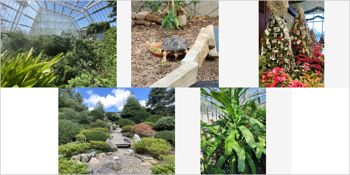 Wedding Photography at The Cleveland Botanical Garden: A Photographer’s Point of View